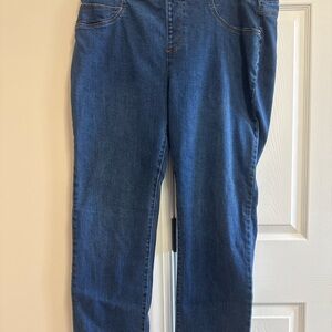Skye's the Limit Classic Blue Straight Leg Jeans